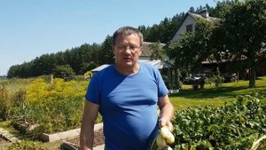 Выращивание лука шалот семейного