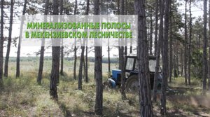 Обновленные минерализованные полосы 20.07.2023