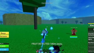 фармлю фрукты в blox fruits 24 ЧАСА
