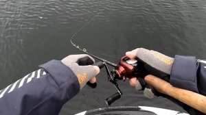 Эта приманка ловит всегда!!! Где большая рыба???