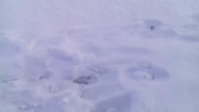 Рыбак уровень 100, такого ещё надо найти! смотреть онлайн