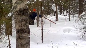 Заготовка зимнего леса