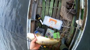 Первое знакомство с эхолотом Lowrance Elite 4HDi