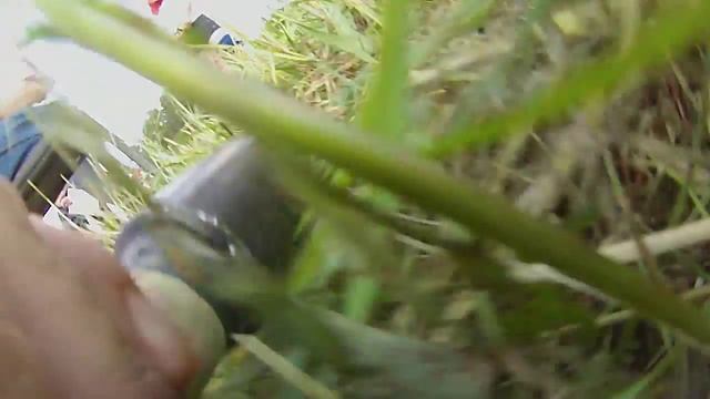 ГТО Кашира Каширский район сдает нормативы С/П Топкановское смотреть онлайн