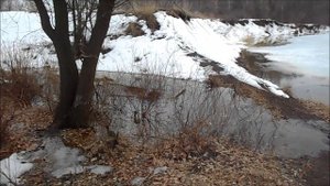 вода прибывает, рыба прёт