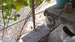 Зернодробилка Эликор-1 тестируем / техника зверь