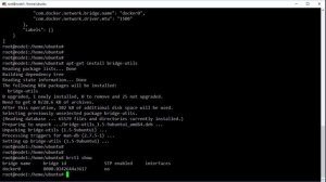 Bridge Networking for Single Host Container Networking