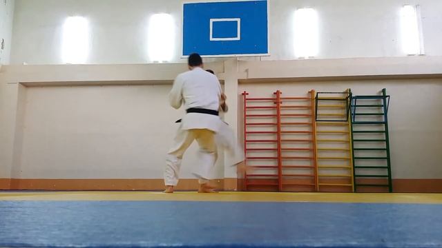 HARAI GOSHI GAESHI / Контрприем от подхвата бедром / 跳腰返 смотреть онлайн