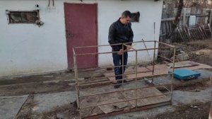 клетка и весы для взвешивания Свиней