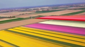 Наша природа.