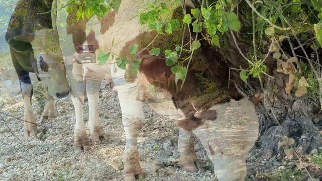 Один из июльских выходных дней смотреть онлайн