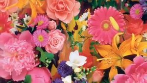 А калина не верба A kalyna ne verba Ukrainian folk song by Iryna Knyzhnyk