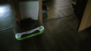 Ребята я сделал Пушку гонку Вега 50ас-104