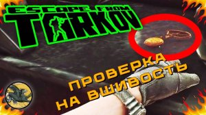 Проверка на вшивость. Задание Прапора на Таможне ! Escape from Tarkov