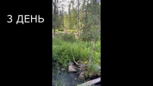 Алакуртти, 2022, Карелия, бешеная рыбалка и сплав 98 км в полном отрыве от цивилизации