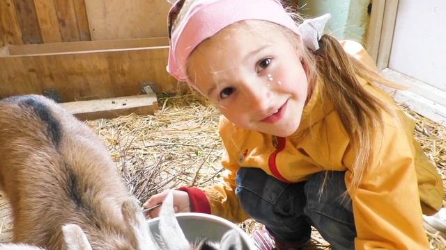 НАСТЯ УХАЖИВАЕТ ЗА КОЗЛЯТАМИ смотреть онлайн