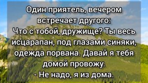 Кума куму расстегнула ширинку Новый сборник анекдотов от Василича