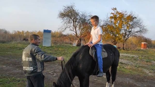 25. Лошадки. смотреть онлайн