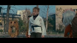 Гений каратэ(юмор)