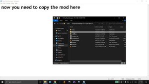 Install Mods Using Fluffy Mod Manager