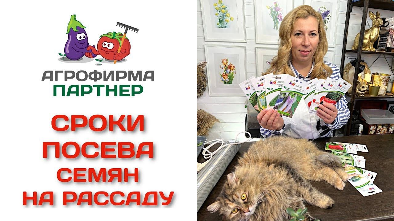 Сроки посева семян на рассаду