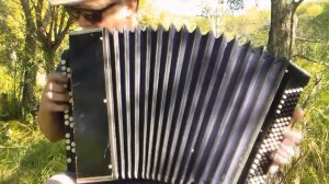 Из вагантов Песня студента, Д Тухманов, По волне моей памяти на баяне