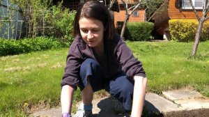 Каменный ручей  и зачем мы полем камни? | Дачные заботы | Уход за участком