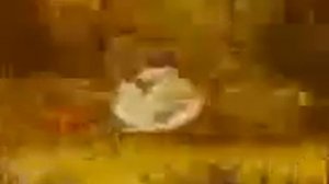 Эхо. Для детей.