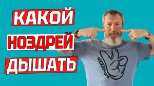 Оздоравливающее дыхание | Какой ноздрей дышать