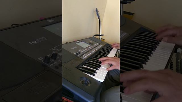 Rancheros río maule, Zenaida ingrata, Korg pa 600 (Javi Ros) смотреть онлайн