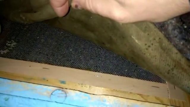 Пасека! Зимовка пчел в омшанике без подогрева! смотреть онлайн