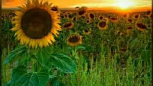 * Лишь О Том , Что Все Пройдёт ,Вспоминать Не Надо *