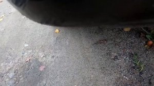 Дёргается движок 406 2.1тд