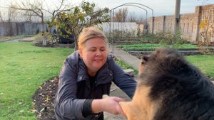 Обработка сада осенью. Как укрыть молодые гортензии? Что делать с саженцами в горшках перед зимой?