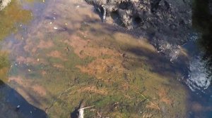 Путешествие к р. Сев. Чигимхарута, сплав с рыбалкой. Полярный Урал. Часть 1. Пешком к началу сплава
