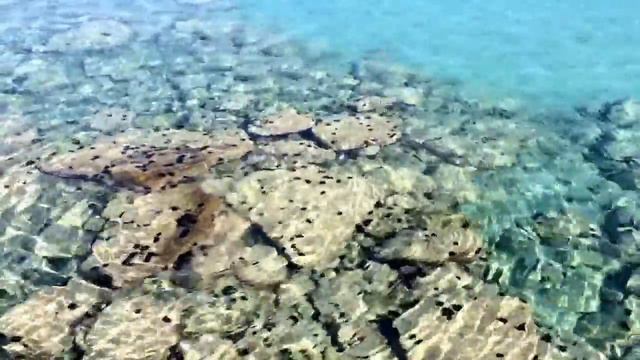 Лазурное, прозрачное море Греции