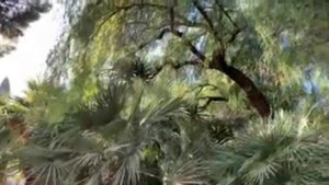 Онлайн-экскурсия «Саграда Фамилия — Библия в камне».