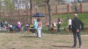 Подростки суки 2