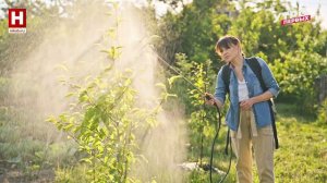 Помощь растениям | PRO-ЦВЕТ