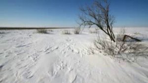 Александр Литвинов "Камень Верности" (Три песни про любовь)