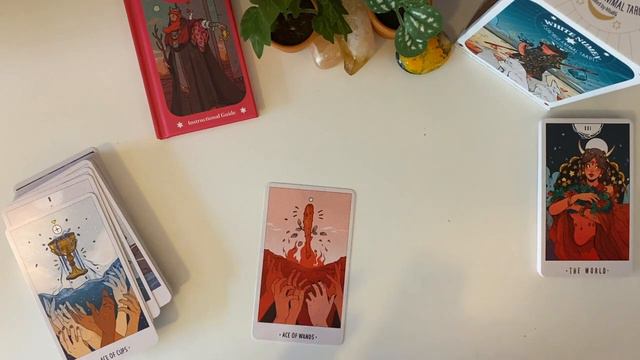 White Numen Sacred ANIMAL Tarot | UNBOXING