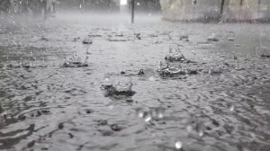 Everything will be fine..mp4