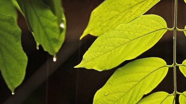 Расслабляющая музыка для медитации