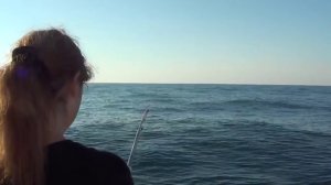 Смотреть Ловля Спиннингом На Черном Море С Берега Воблерами,Алексей Шанин Видео "Рыбацкая Правда"