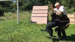 Попов Андрей Геннадьевич. (18.08.1960-29.11.2020). Воронежская область