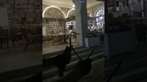 Как складывается пюпитр