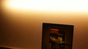 муха голограмма