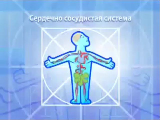 FORISE GROUP. Коэнзим Q10 - здоровье сердца и мозга.