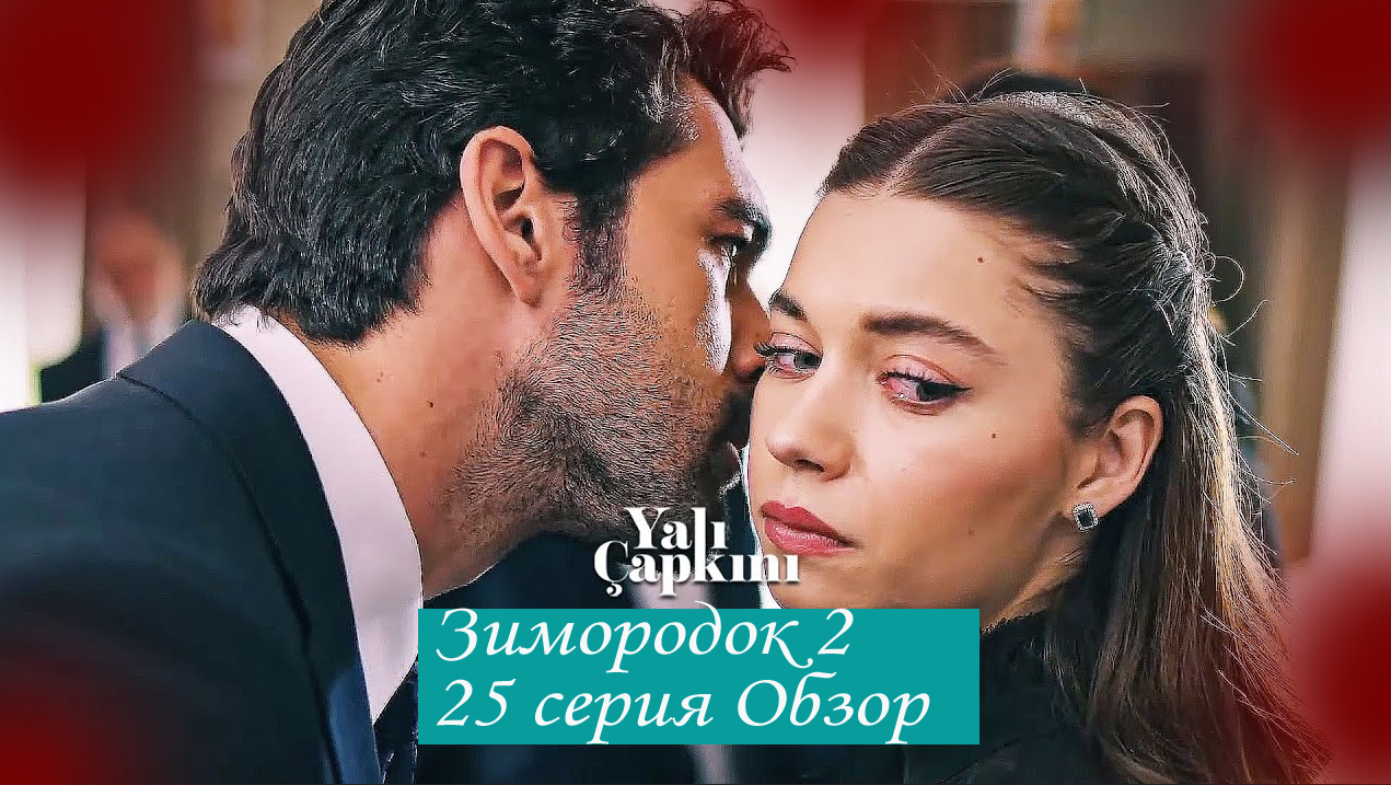 Зимородок 2. Новая 25 серия. Обзор смотреть онлайн