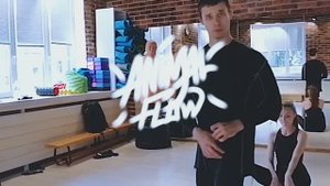 Animal Flow Санкт-Петербург